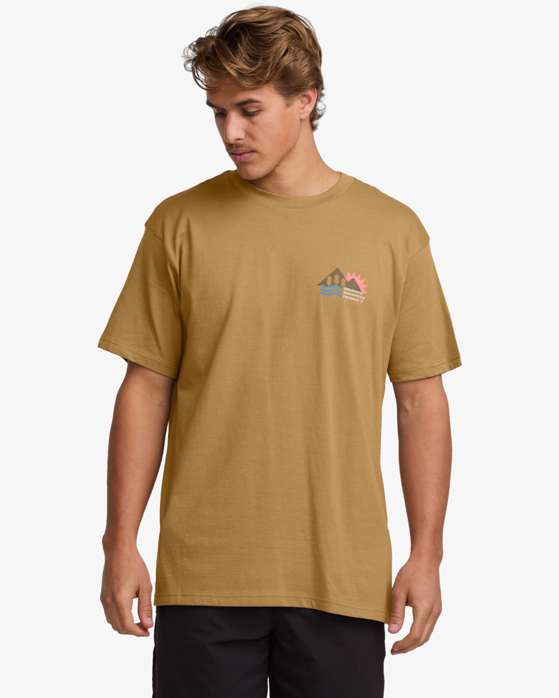 Mens Ridgeline A/Div T-Shirt - Billabong Malaysia