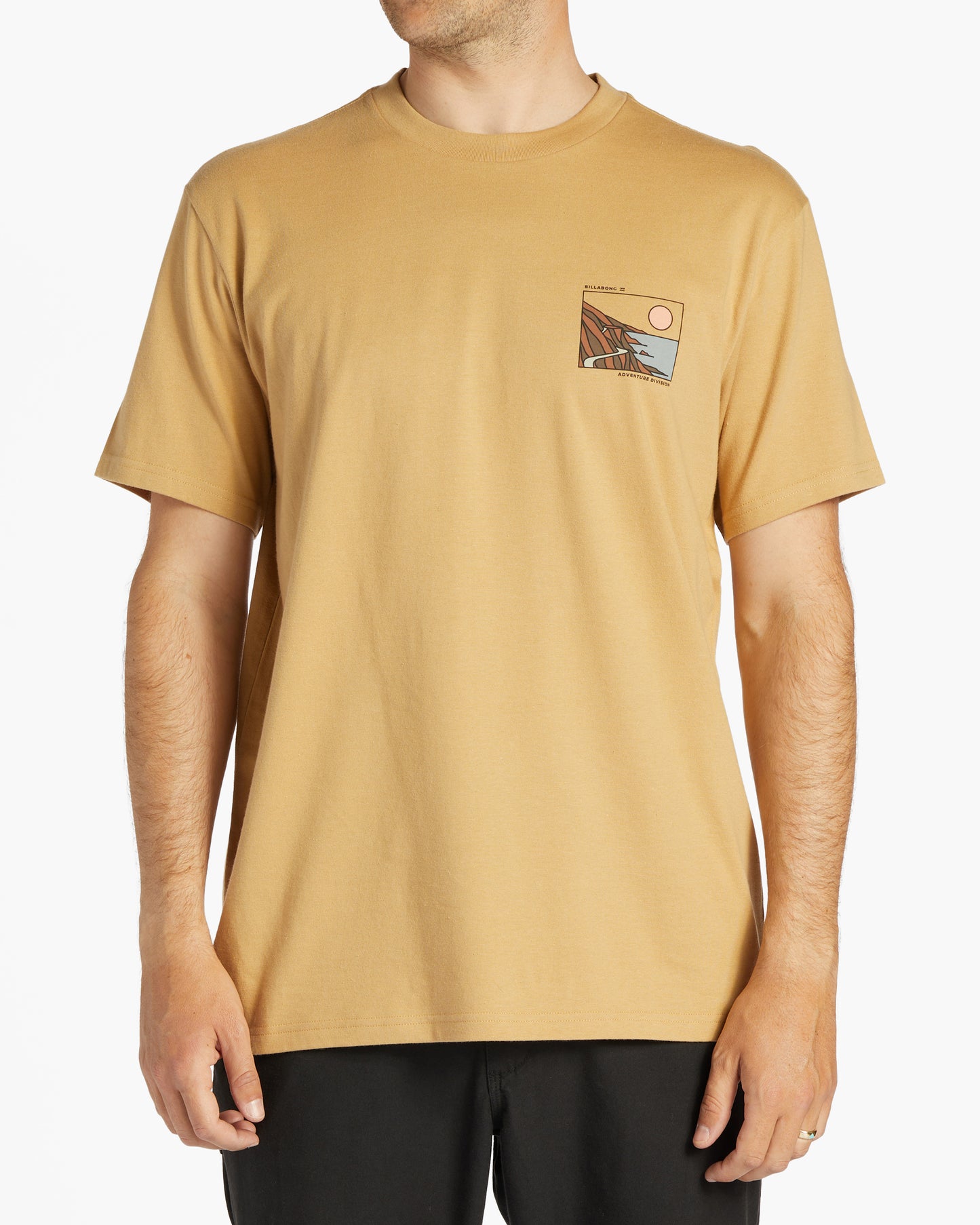 Mens Gateway Short Sleeve T-Shirt - Billabong Malaysia