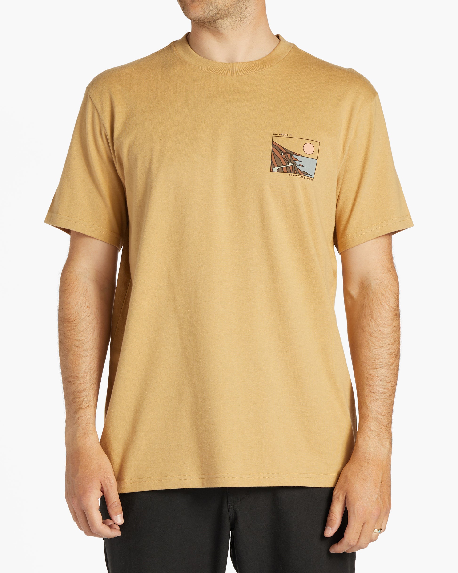 Mens Gateway Short Sleeve T-Shirt - Billabong Malaysia