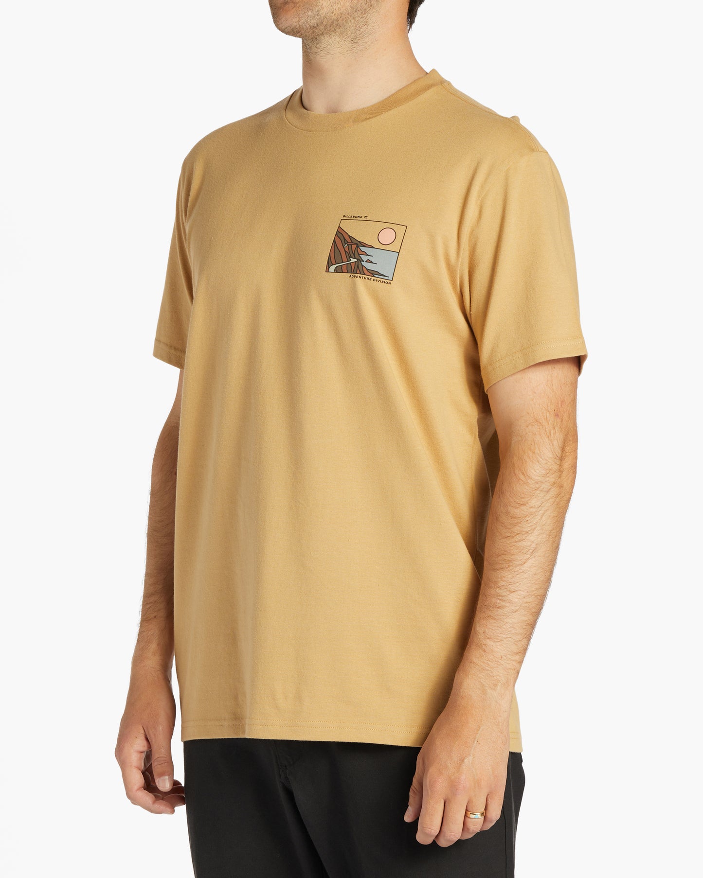 Mens Gateway Short Sleeve T-Shirt - Billabong Malaysia