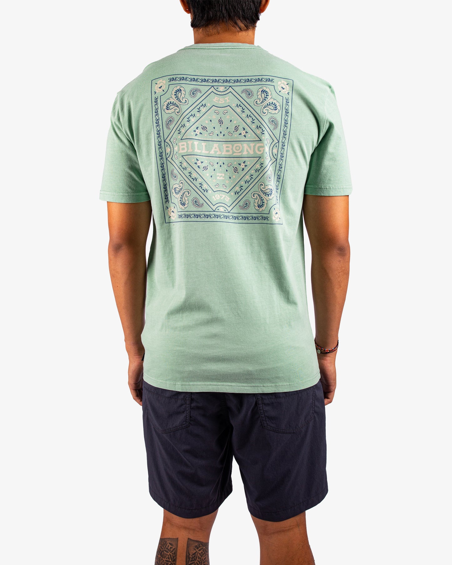 Mens Paise Haze T-Shirt - Billabong Malaysia