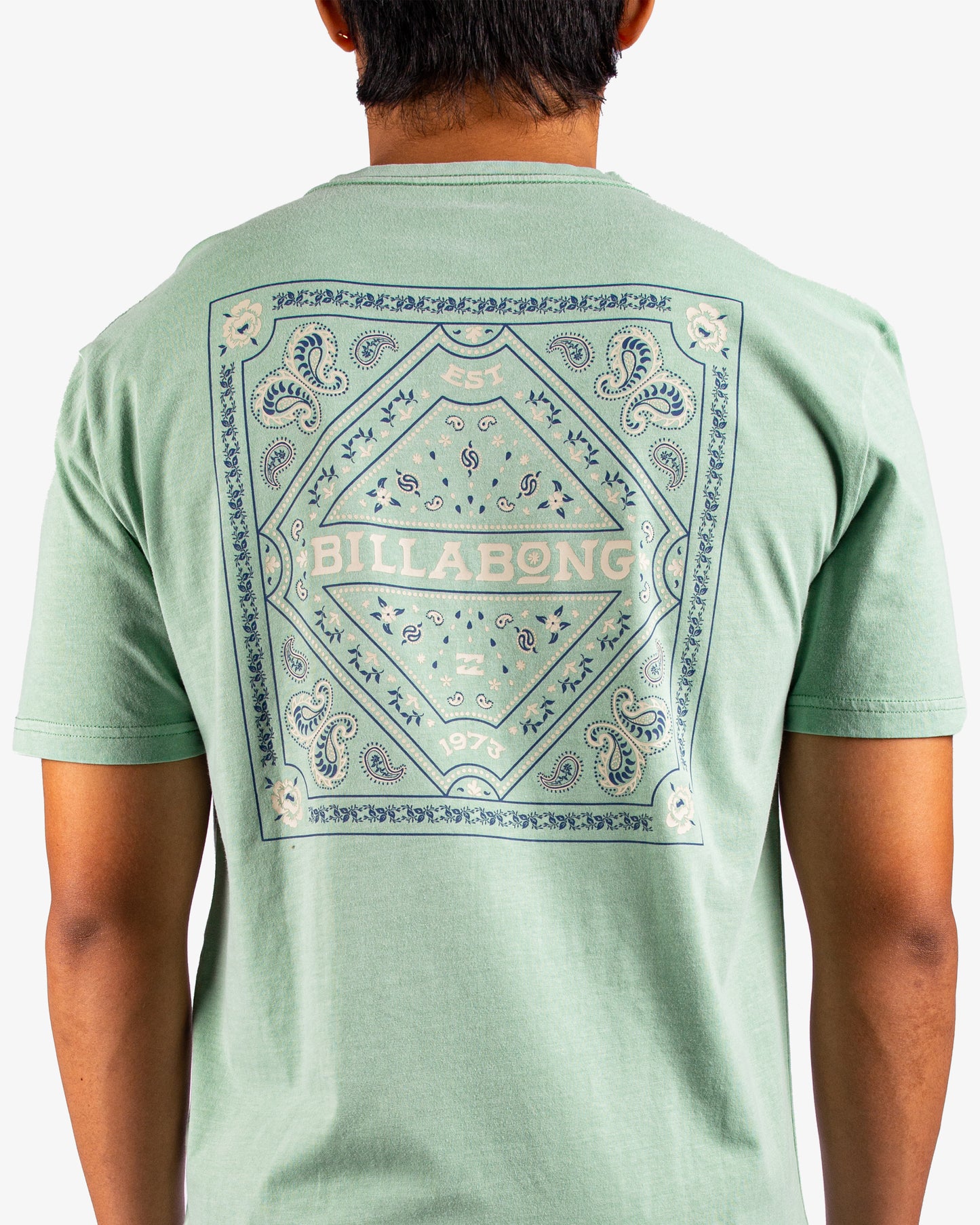 Mens Paise Haze T-Shirt - Billabong Malaysia