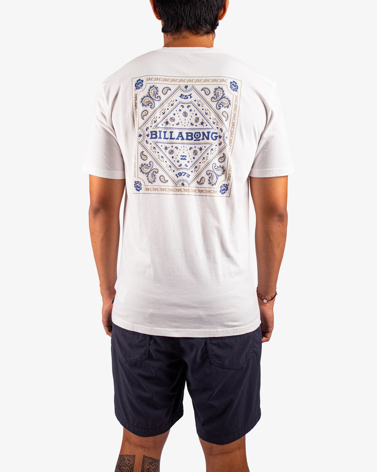 Mens Paise Haze T-Shirt - Billabong Malaysia