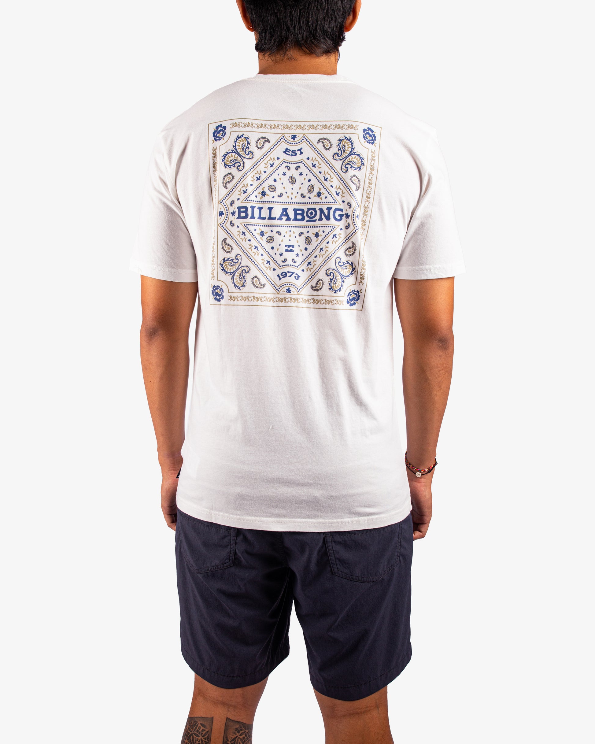 Mens Paise Haze T-Shirt - Billabong Malaysia