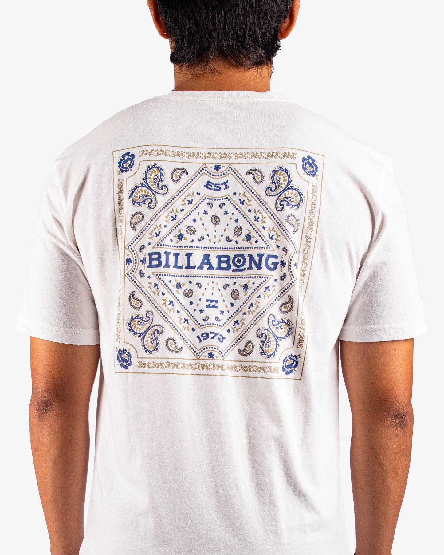 Mens Paise Haze T-Shirt - Billabong Malaysia