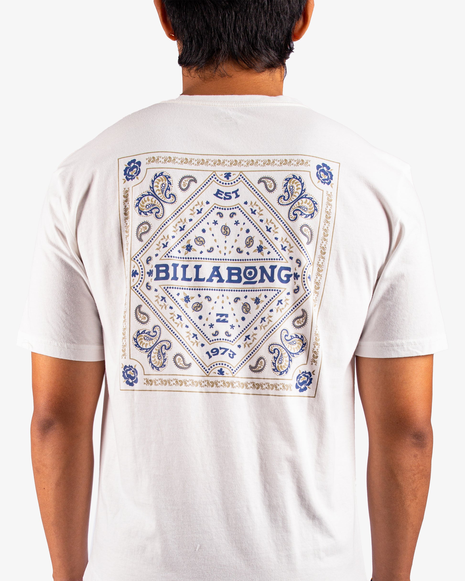 Mens Paise Haze T-Shirt - Billabong Malaysia