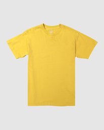 Mens Premium Wave Washed Short Sleeve T-Shirt - Billabong Malaysia