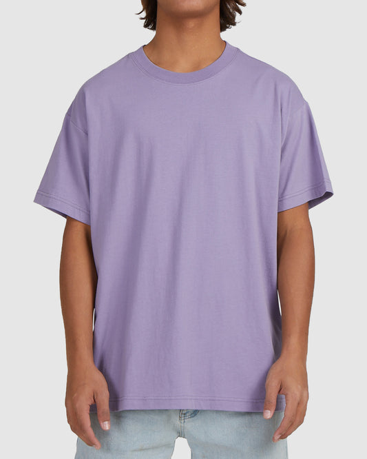 Mens Premium Wave Washed Short Sleeve T-Shirt - Billabong Malaysia