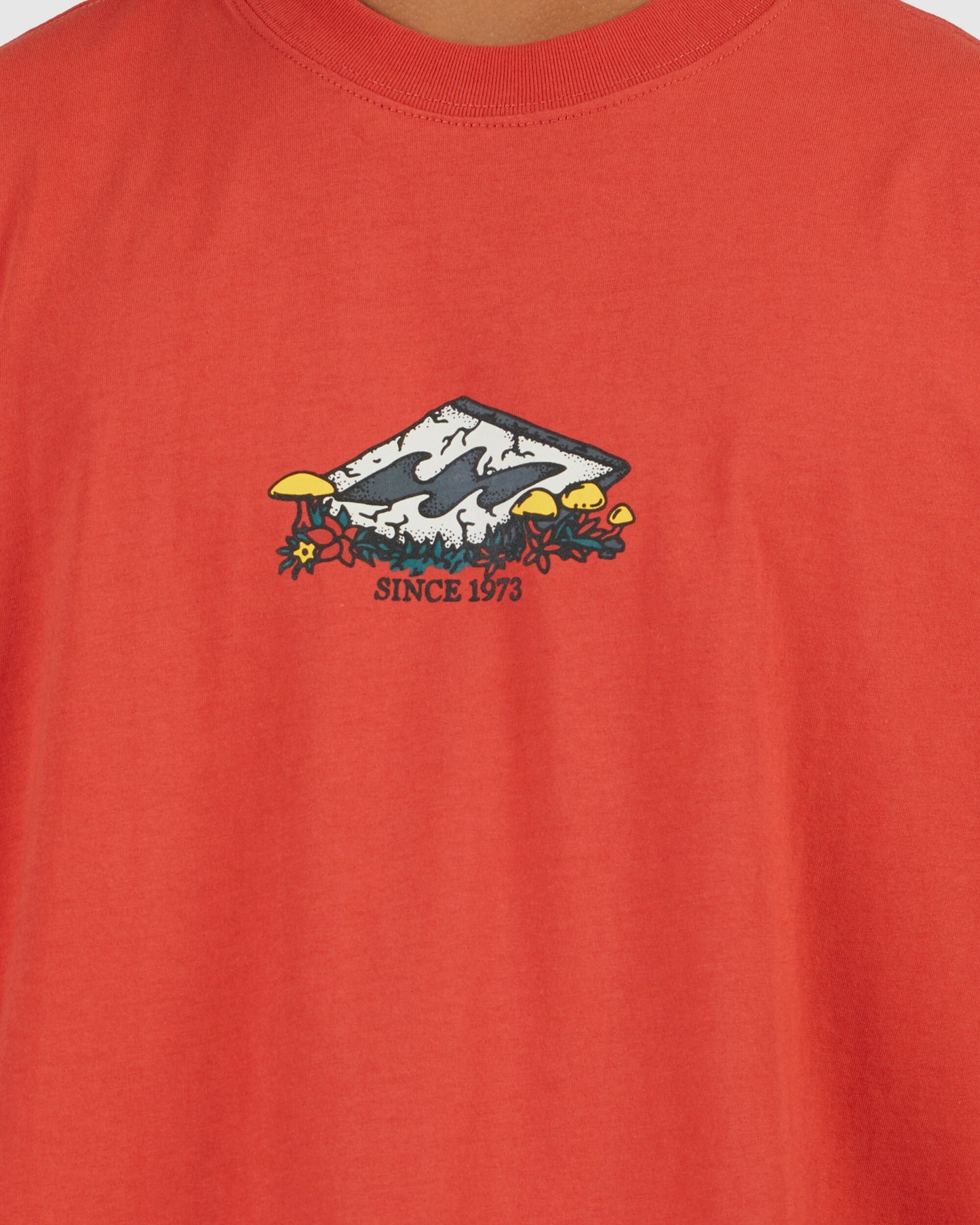 Mens Diamond Friends T-Shirt - Billabong Malaysia