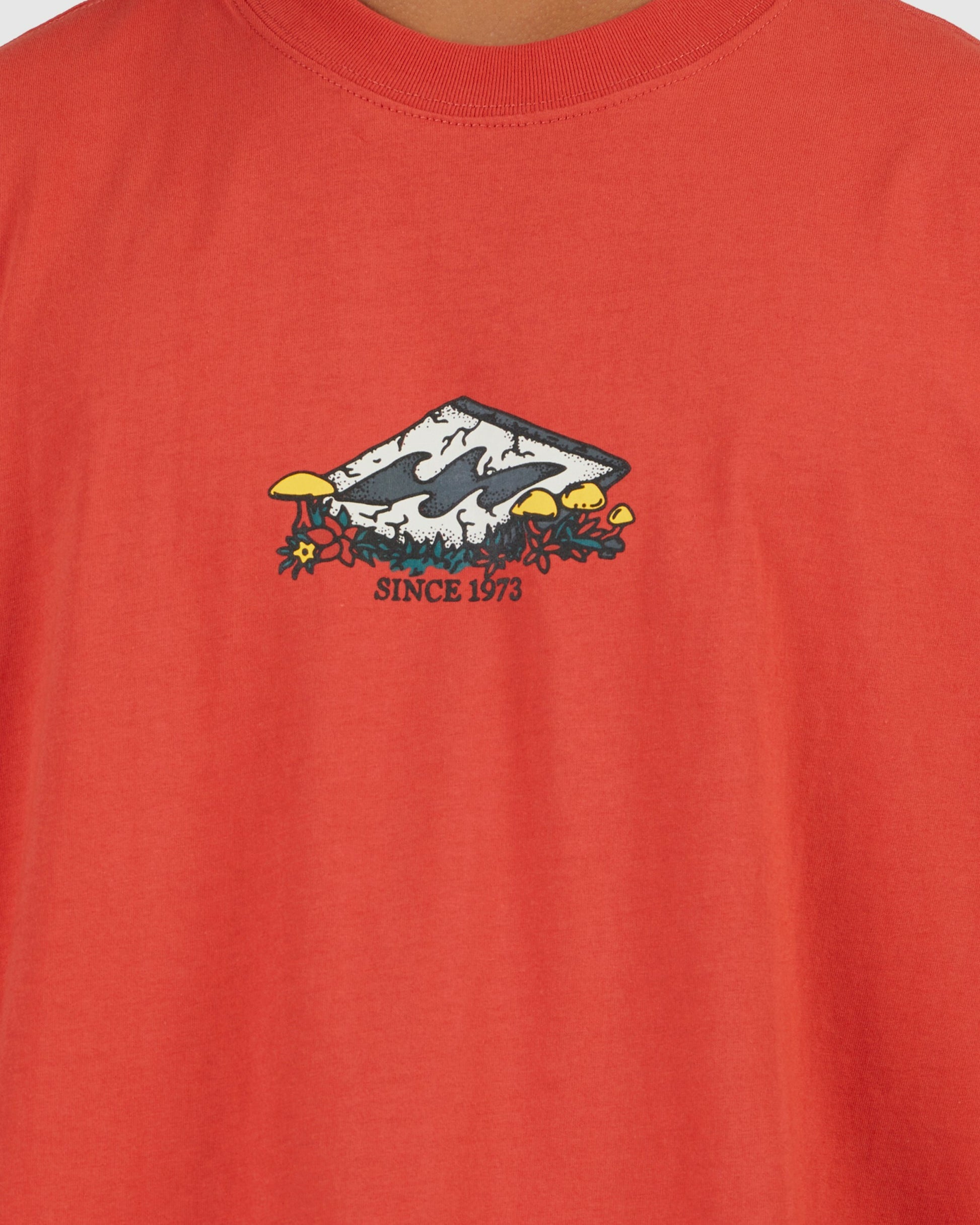 Mens Diamond Friends T-Shirt - Billabong Malaysia