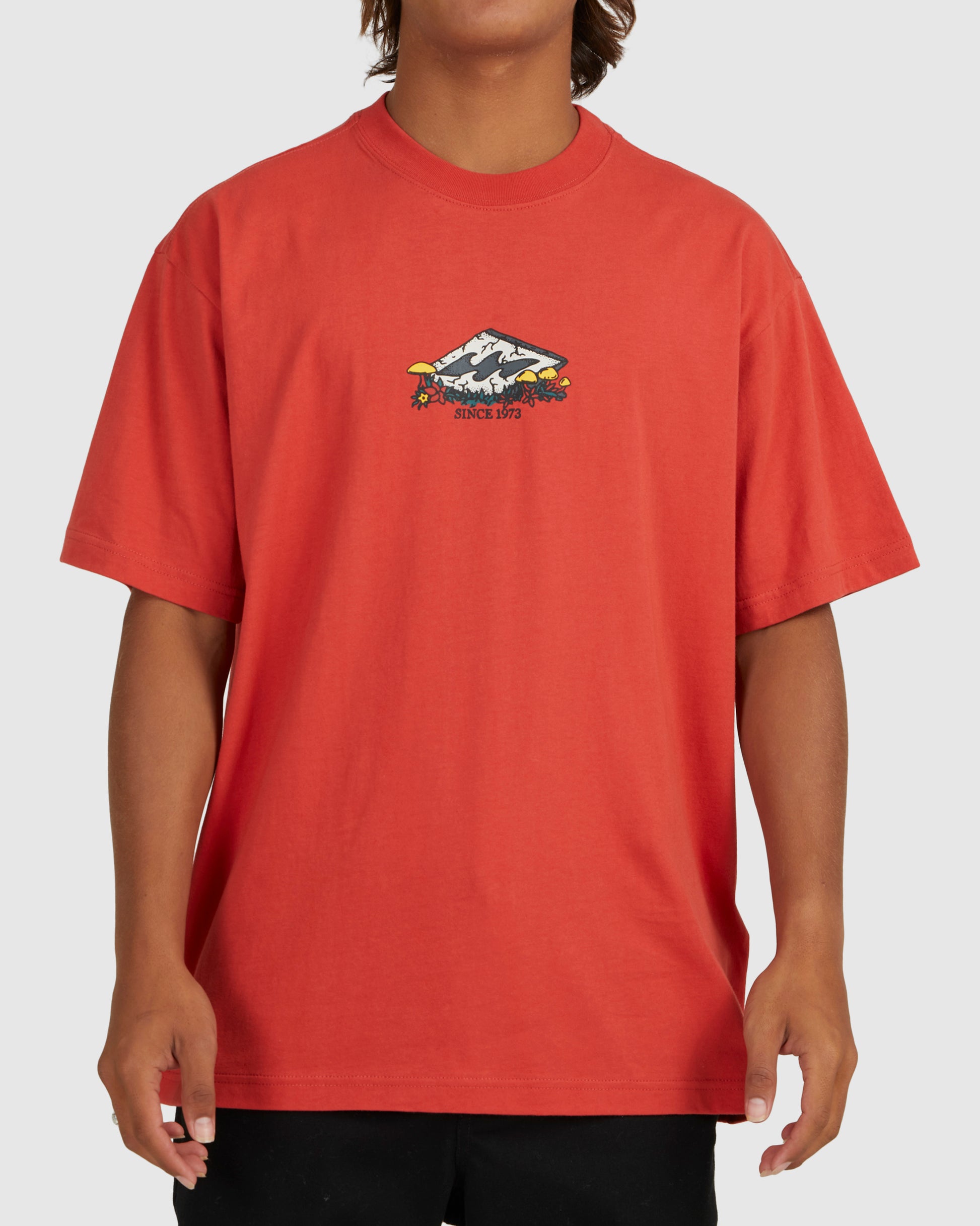 Mens Diamond Friends T-Shirt - Billabong Malaysia