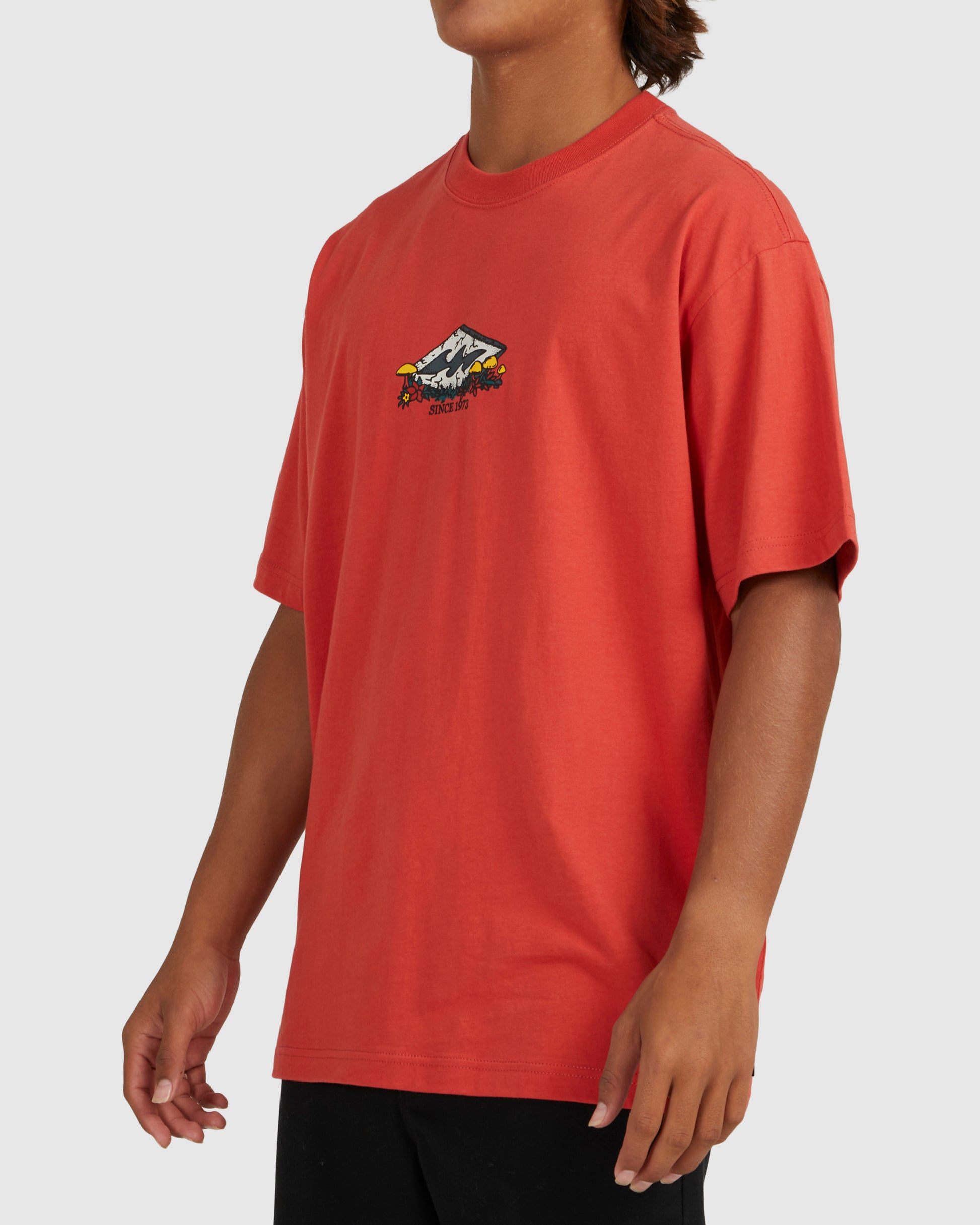 Mens Diamond Friends T-Shirt - Billabong Malaysia