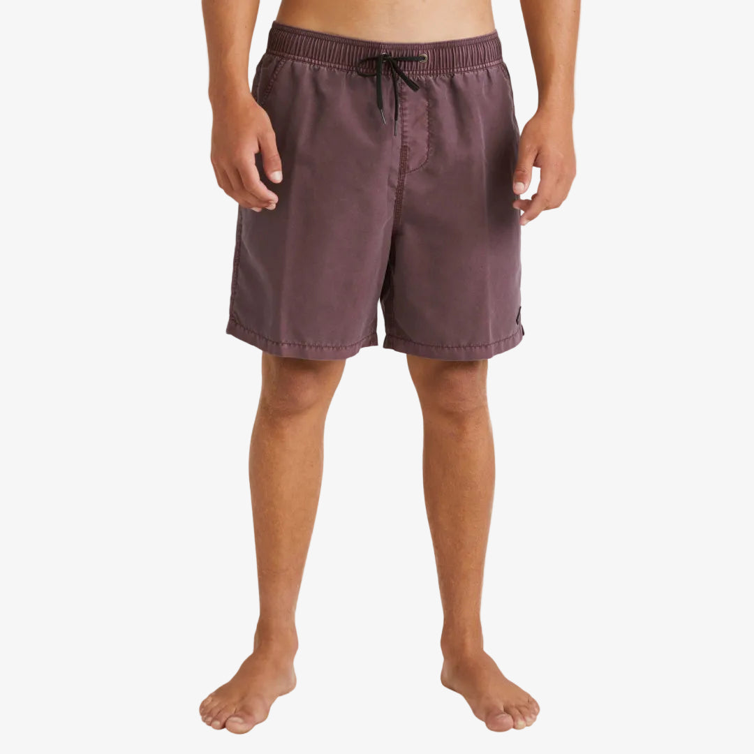 Mens All Day Overdye Layback Boardshorts