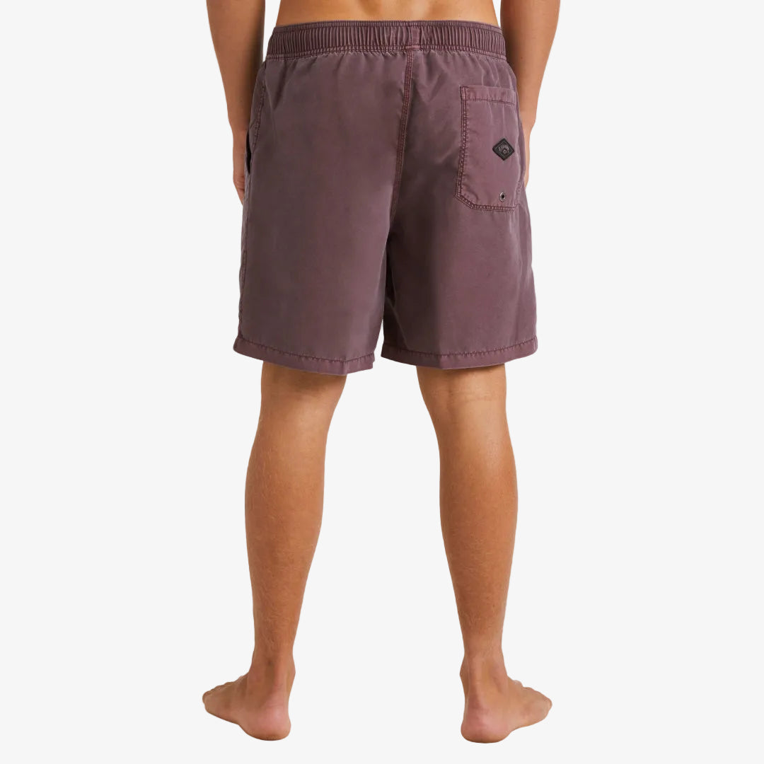Mens All Day Overdye Layback Boardshorts
