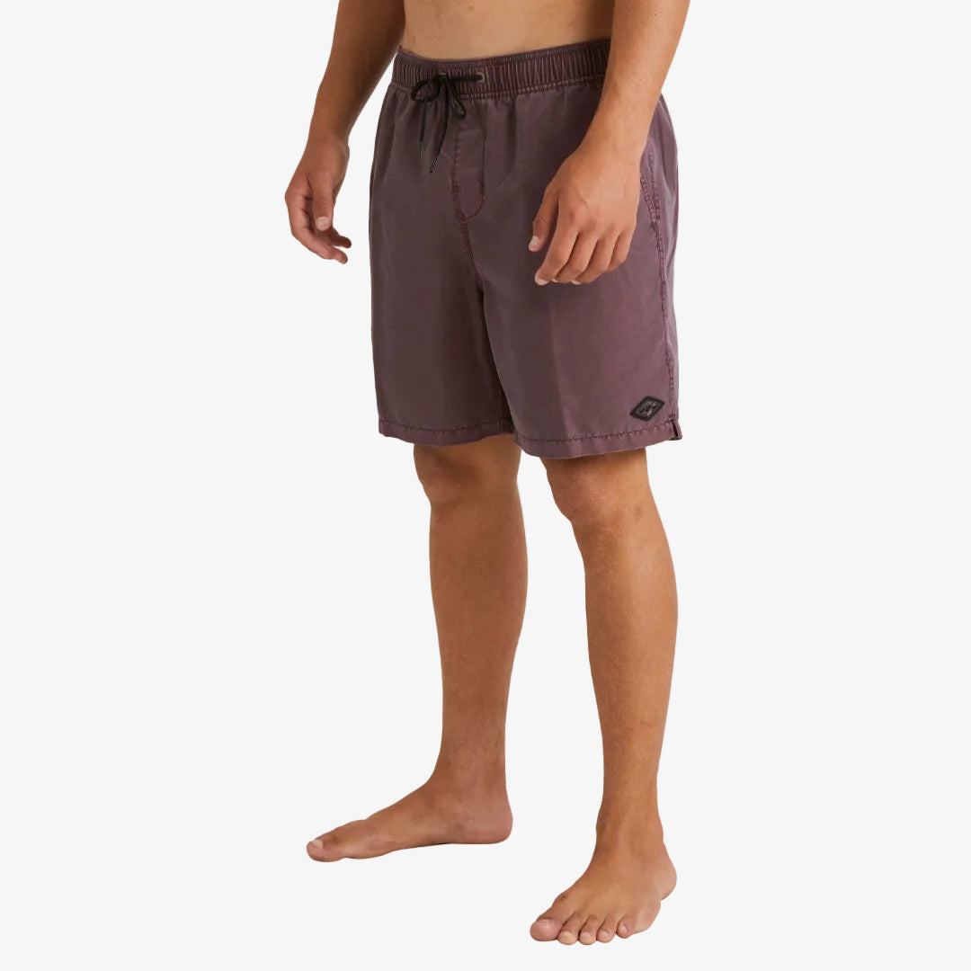 Mens All Day Overdye Layback Boardshorts