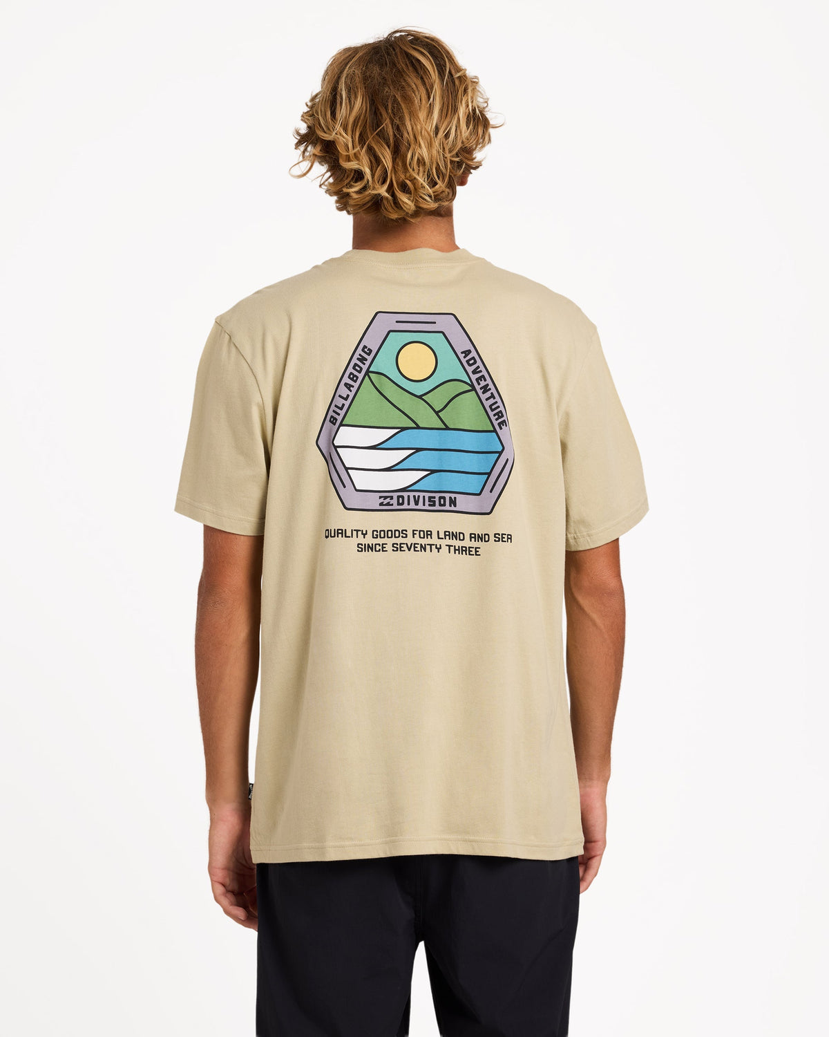 Mens Rockies Adiv Premium T-Shirt - Billabong Malaysia