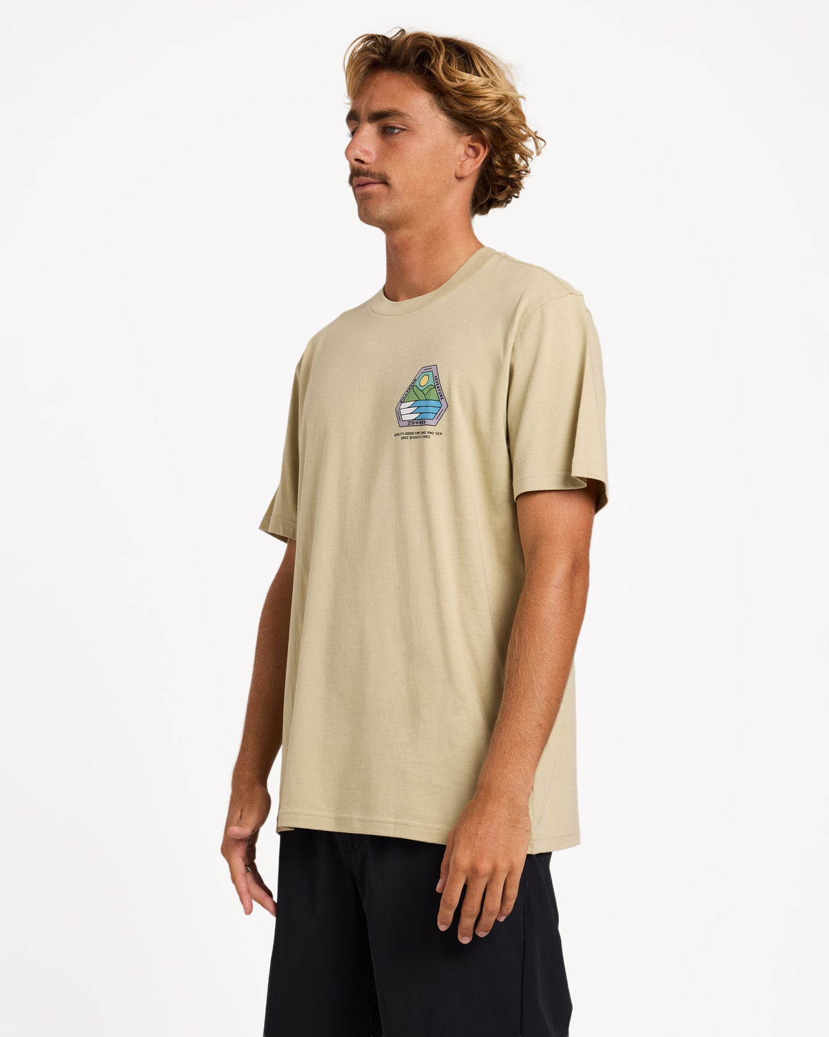 Mens Rockies Adiv Premium T-Shirt - Billabong Malaysia