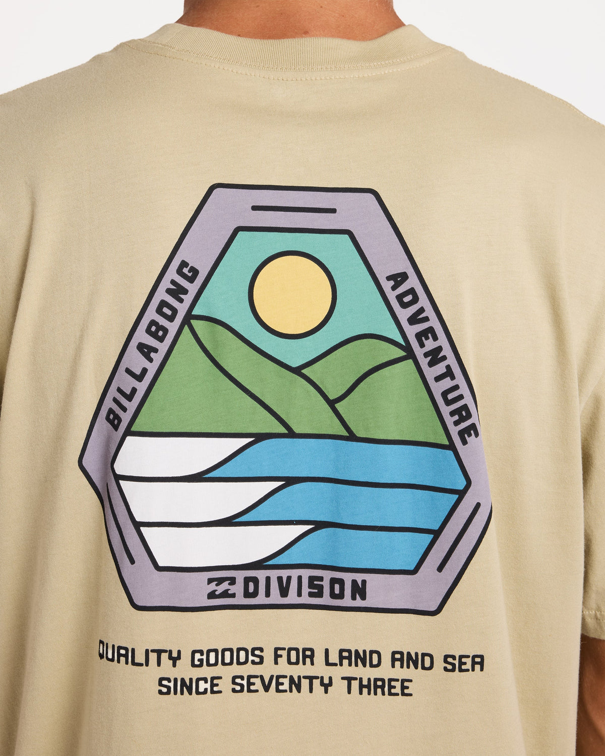 Mens Rockies Adiv Premium T-Shirt - Billabong Malaysia