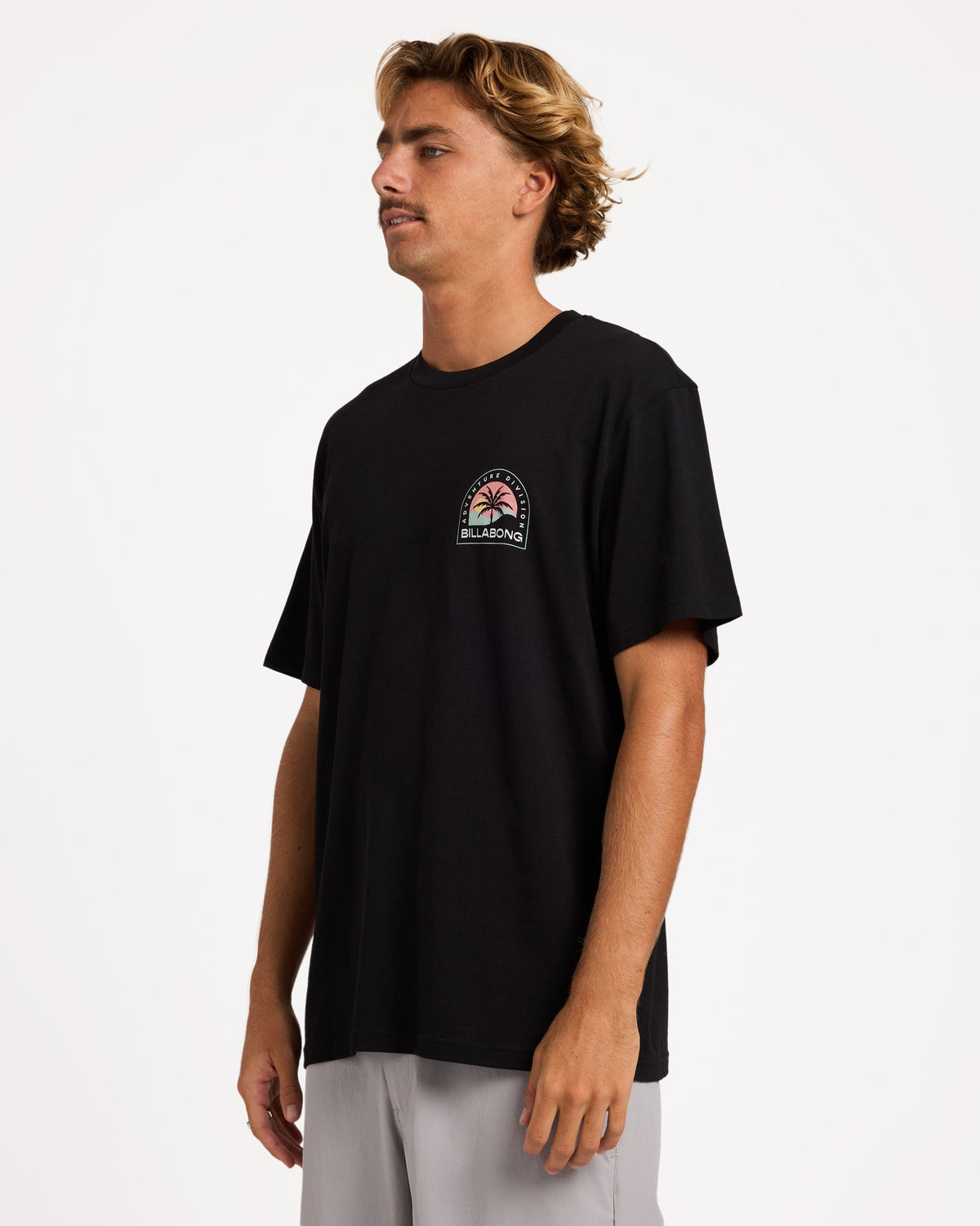 Mens Sun Down Adiv Premium T-Shirt - Billabong Malaysia