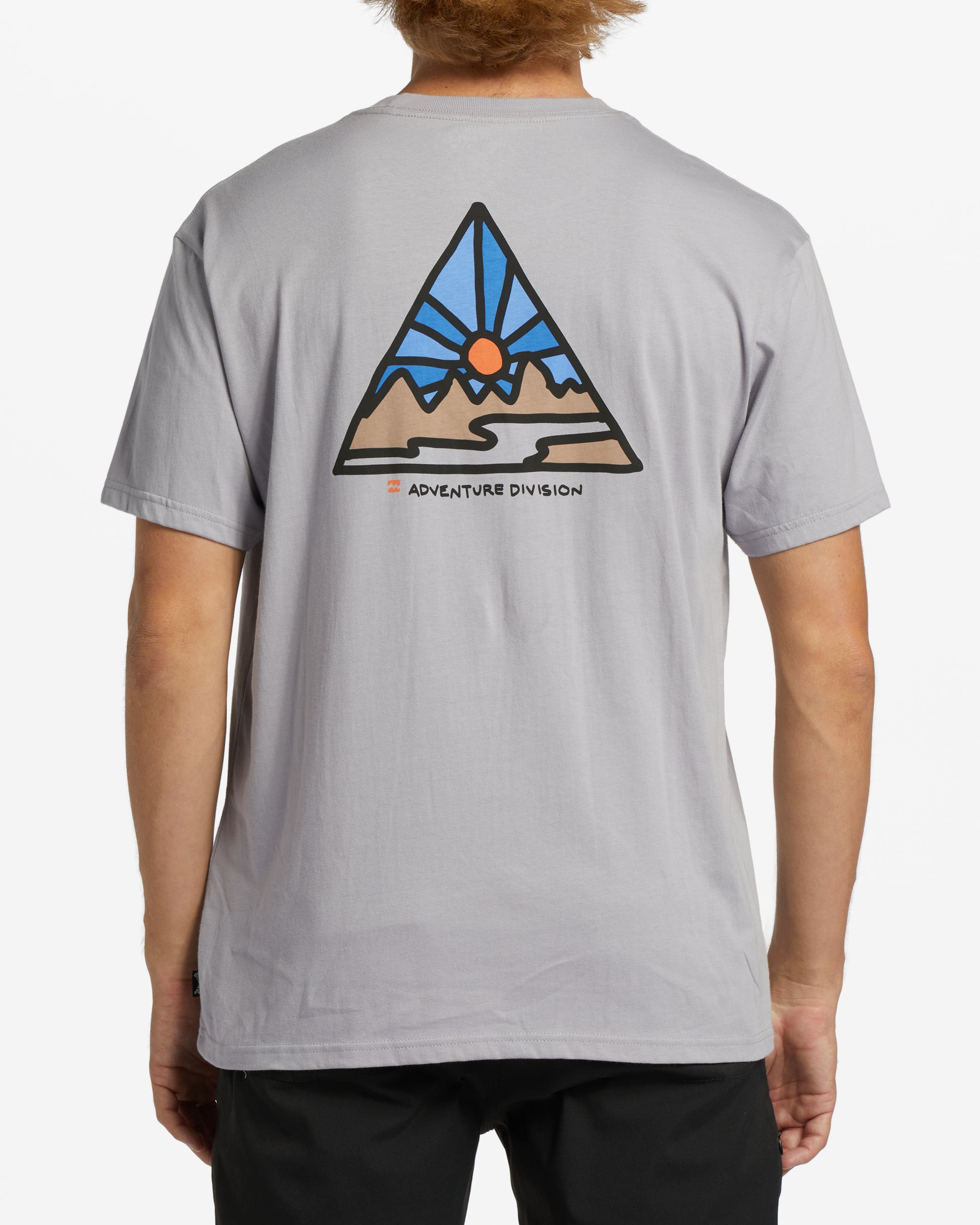 Mens A/Div Shine Short Sleeve T-Shirt - Billabong Malaysia