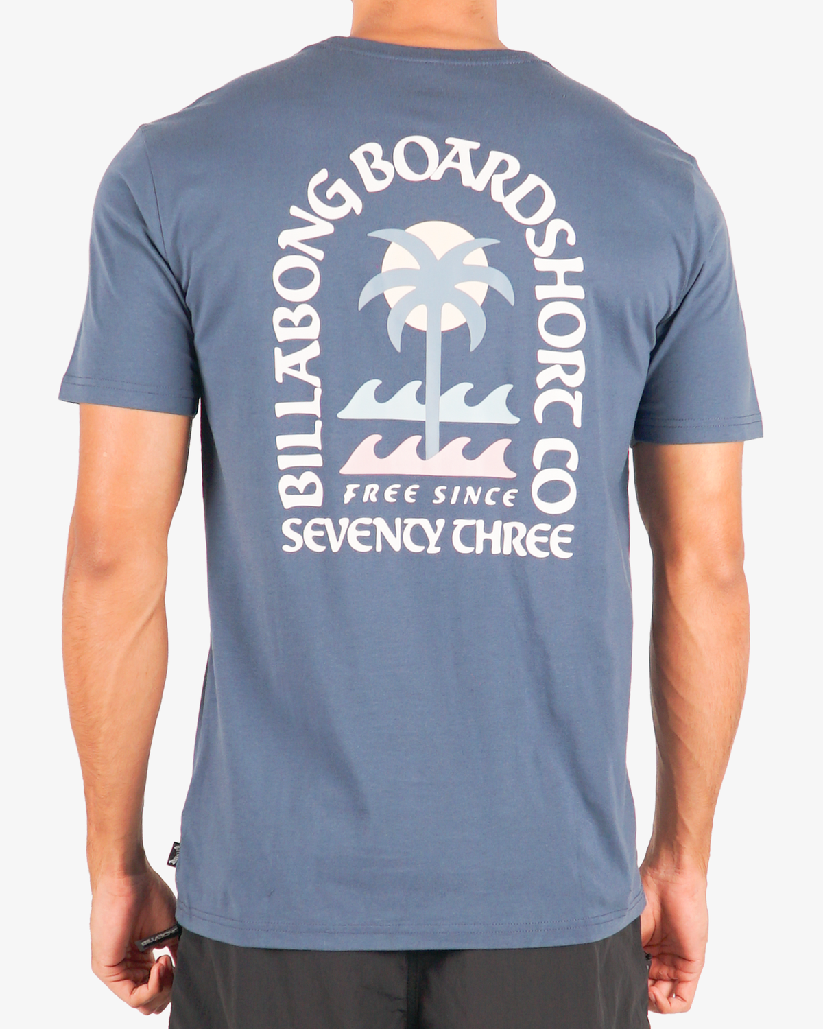 Mens Portal Regular T-Shirt - Billabong Malaysia