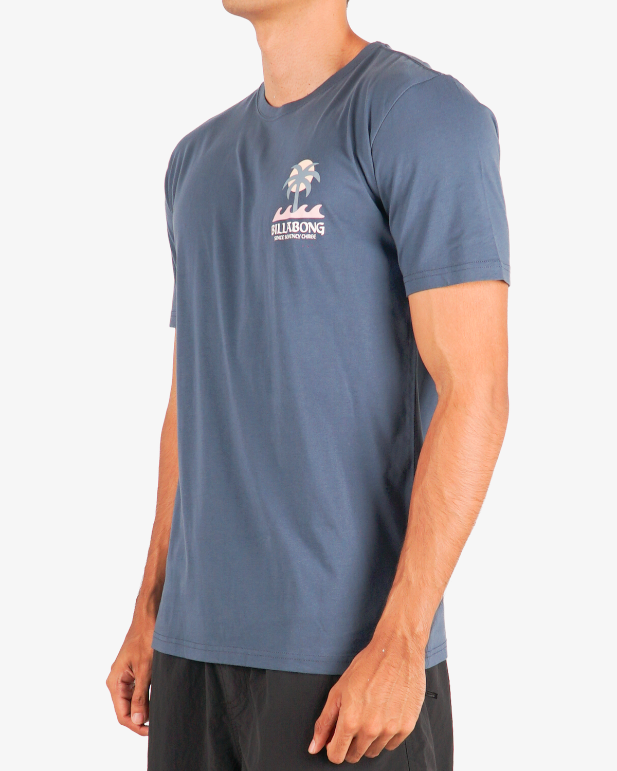 Mens Portal Regular T-Shirt - Billabong Malaysia