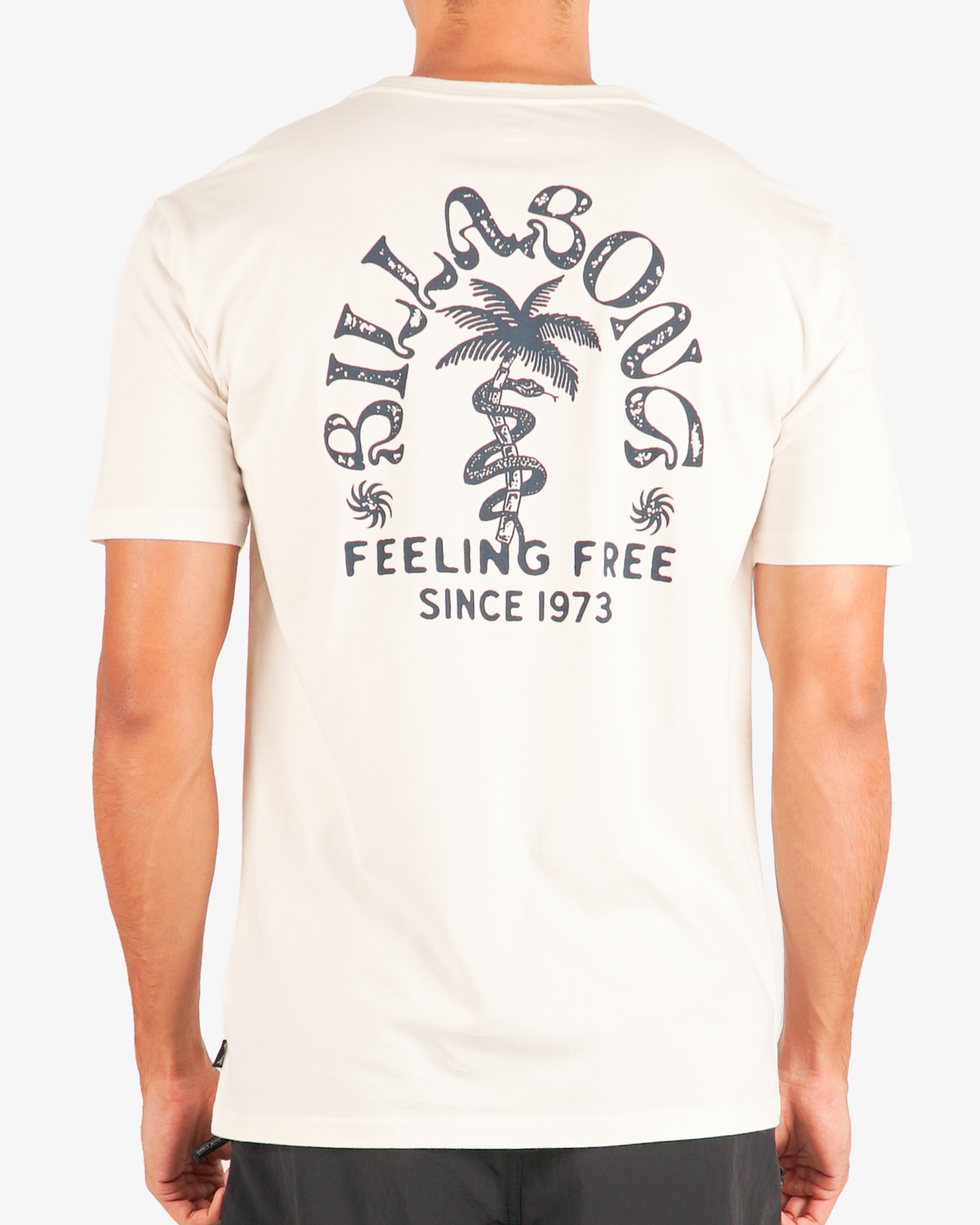 Mens Big Wave Shazza Regular T-Shirt - Billabong Malaysia