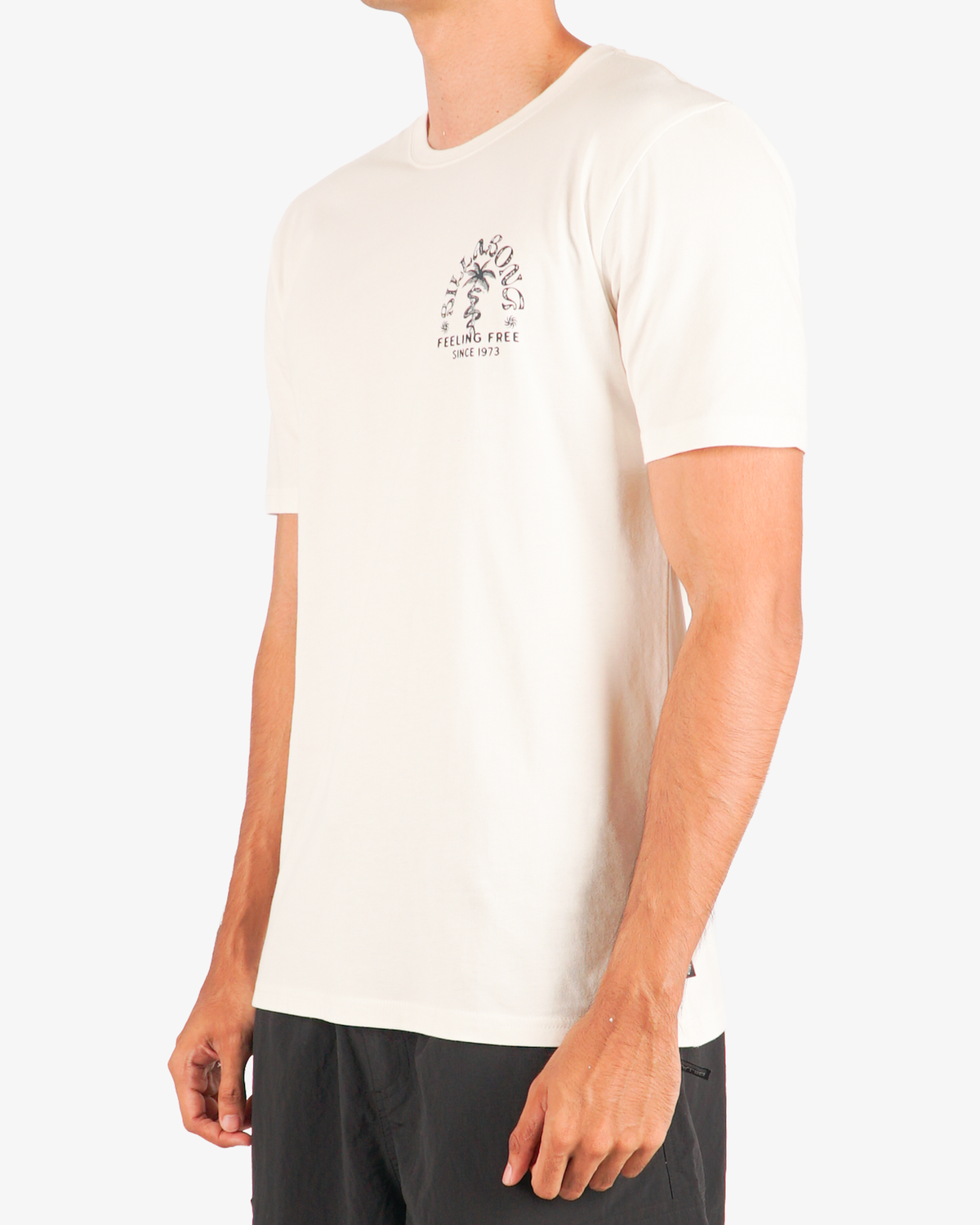 Mens Big Wave Shazza Regular T-Shirt - Billabong Malaysia