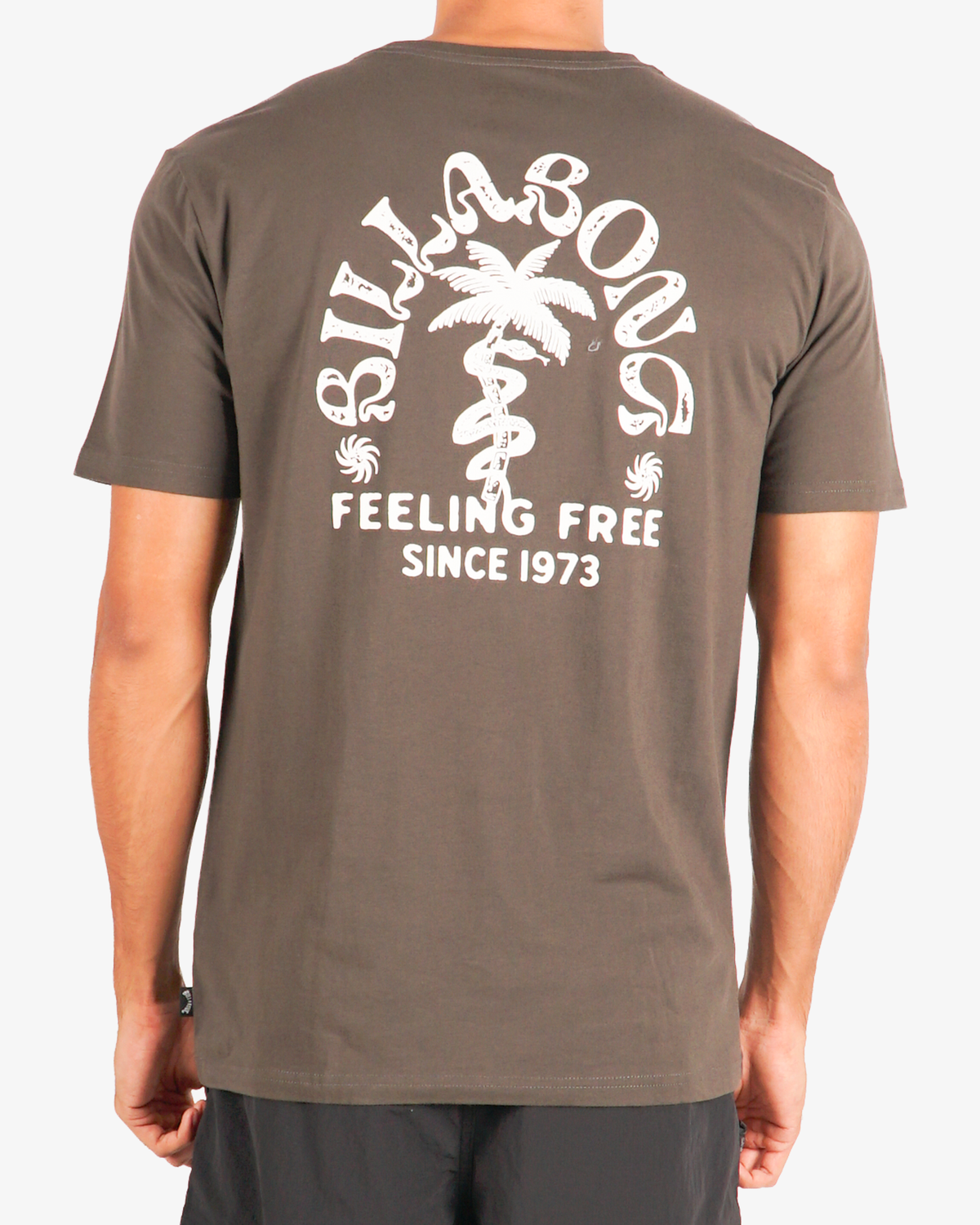 Mens Big Wave Shazza Regular T-Shirt - Billabong Malaysia