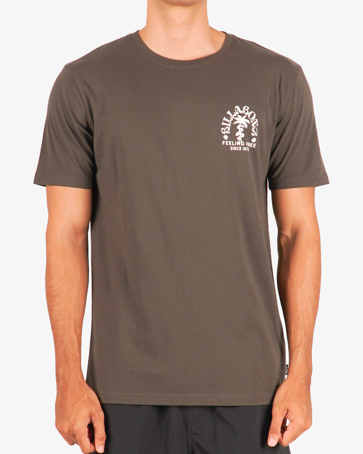 Mens Big Wave Shazza Regular T-Shirt - Billabong Malaysia