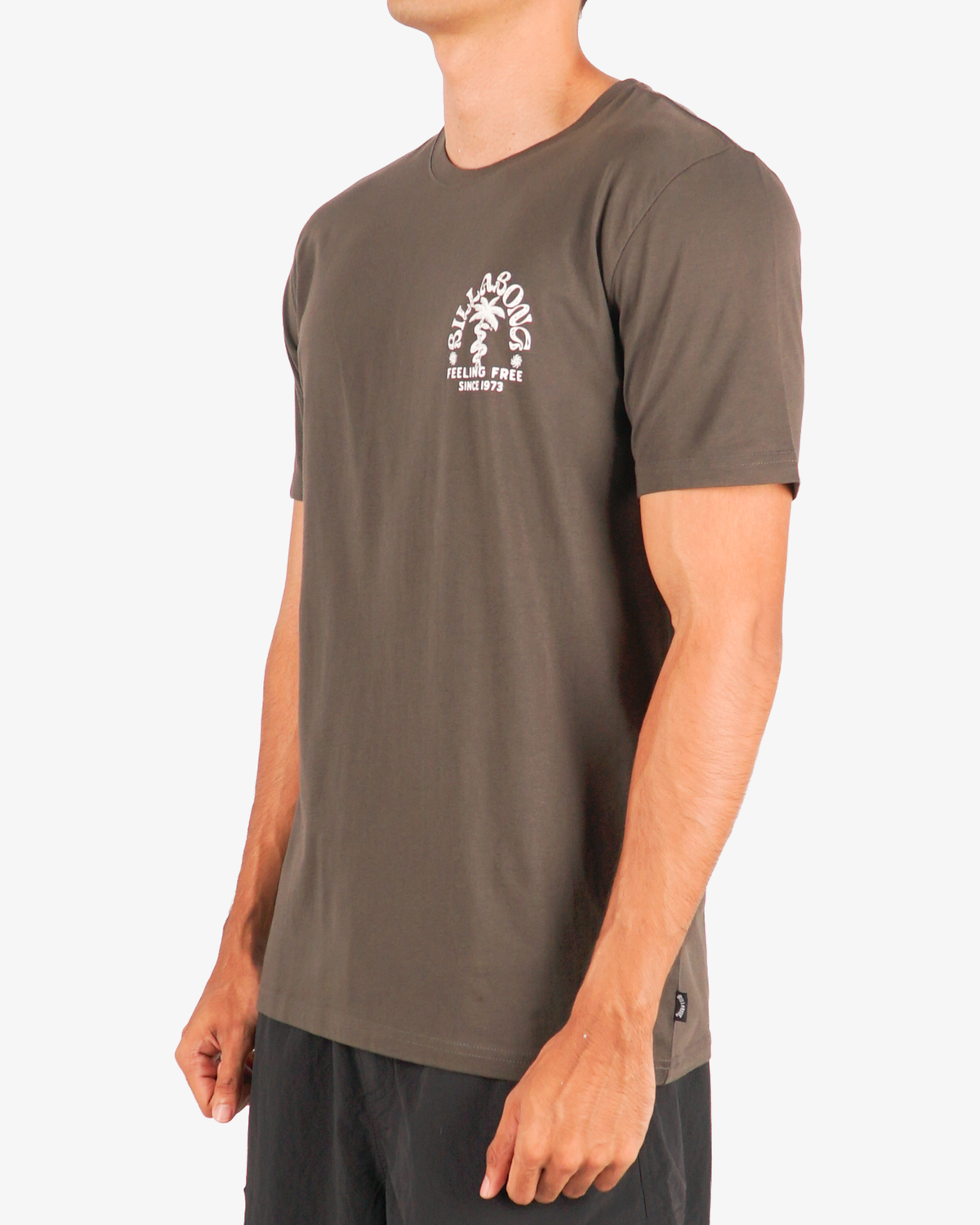 Mens Big Wave Shazza Regular T-Shirt - Billabong Malaysia