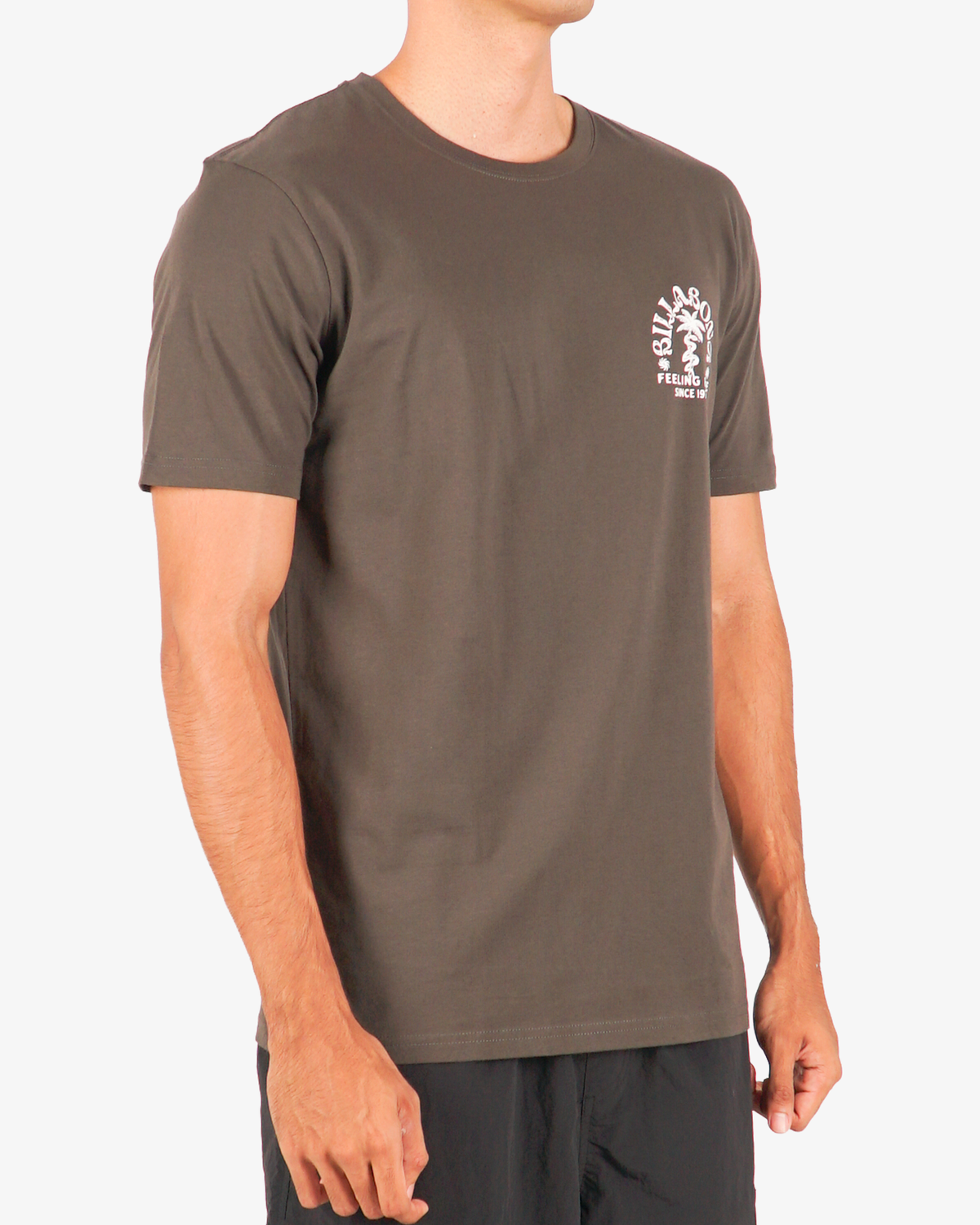 Mens Big Wave Shazza Regular T-Shirt - Billabong Malaysia