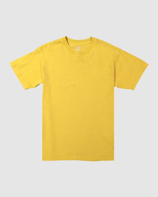 Mens Premium Wave Washed Short Sleeve T-Shirt - Billabong Malaysia