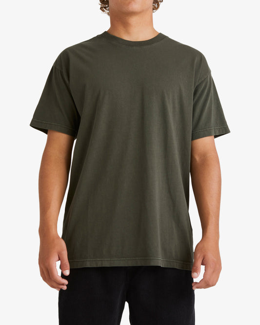Mens Premium Wave Wash T-shirt - Billabong Malaysia